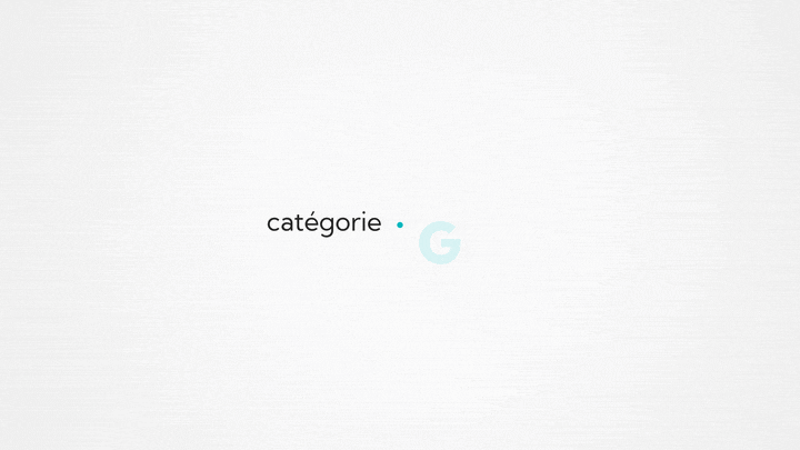 Thomann catégorie